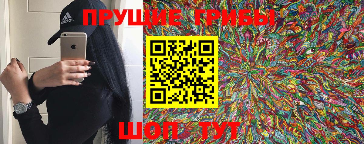 Переславль-Залесский  Галлюциногенные грибы Psilocybe  Вход с VPN 