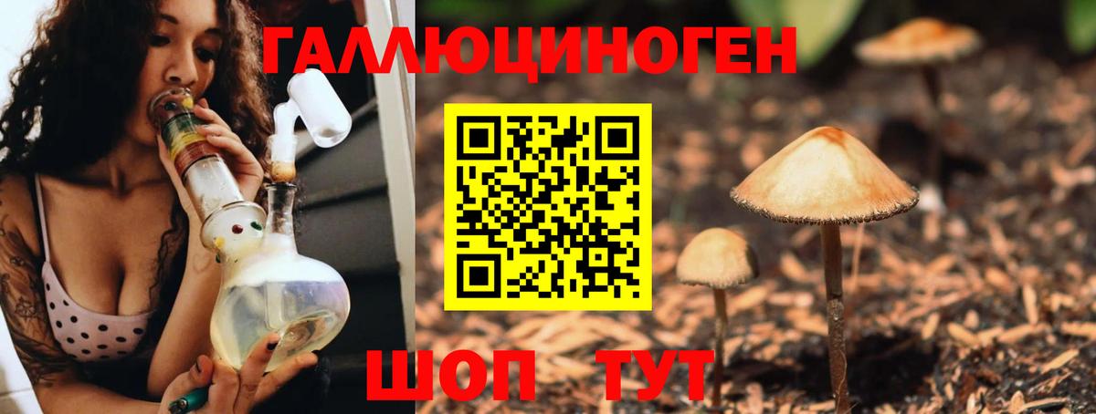 Псилоцибиновые грибы Psilocybine cubensis Переславль-Залесский